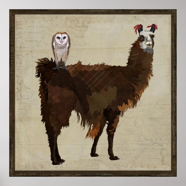 LLAMA & OWL Poster (Front)