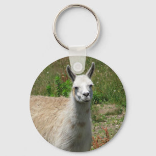 Llama Photograph Key Ring