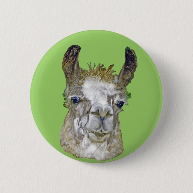 Llama Picture 6 Cm Round Badge (Front)