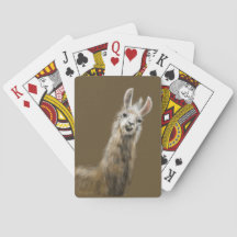 Llama playing cards