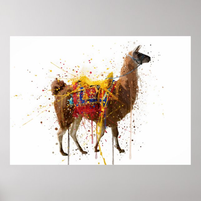 Llama Poster (Front)