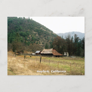 Llama Ranch........ Postcard