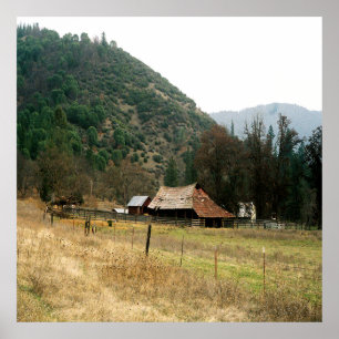 Llama Ranch........ Poster