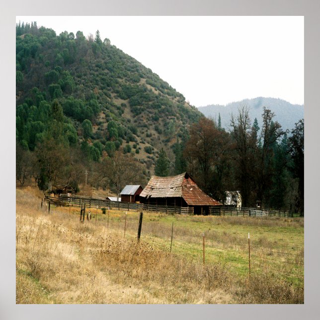 Llama Ranch........ Poster (Front)