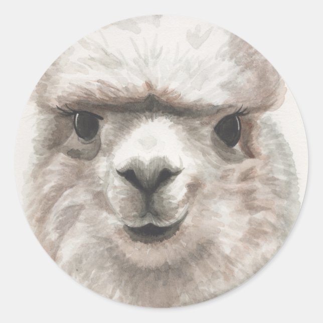 Llama Smiles Set of 20 Stickers Envelope Seals (Front)