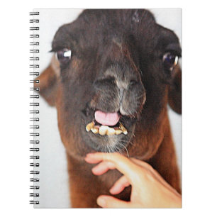 Llama Spiral Notebook