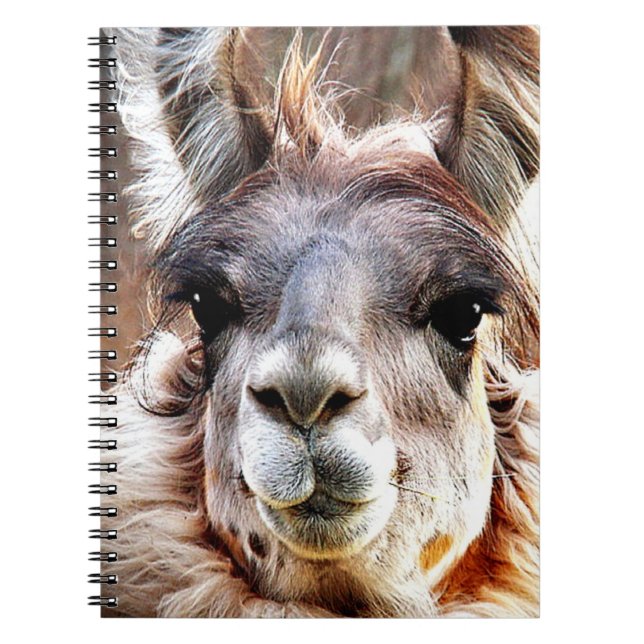 Llama Spiral Notebook (Front)