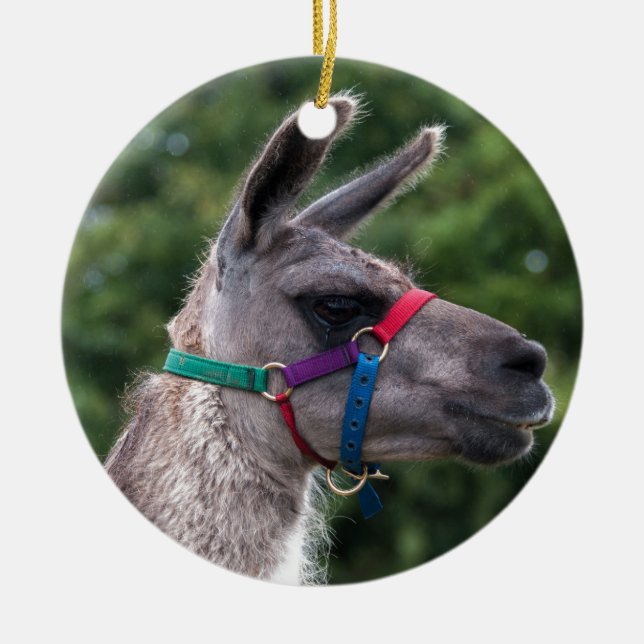 Llama Superiority Ceramic Tree Decoration (Front)