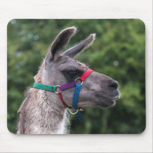 Llama superiority mouse pad