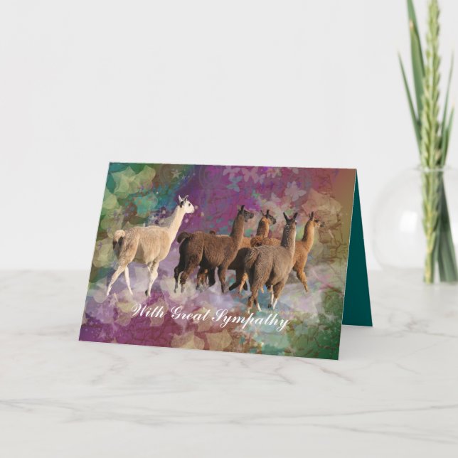 Llama Sympathy Card with five White & Brown LLamas (Front)