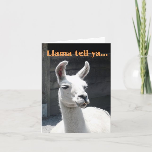 "Llama Tell Ya" Smiling Llama Blank Note Card (Front)