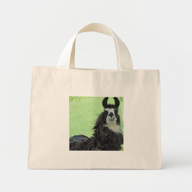 Llama tote (Front)