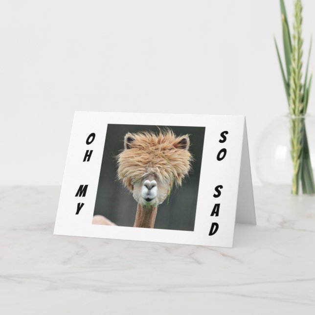 **LLAMA WANTS YOU TO "GET WELL SOON!" CARD (Front)