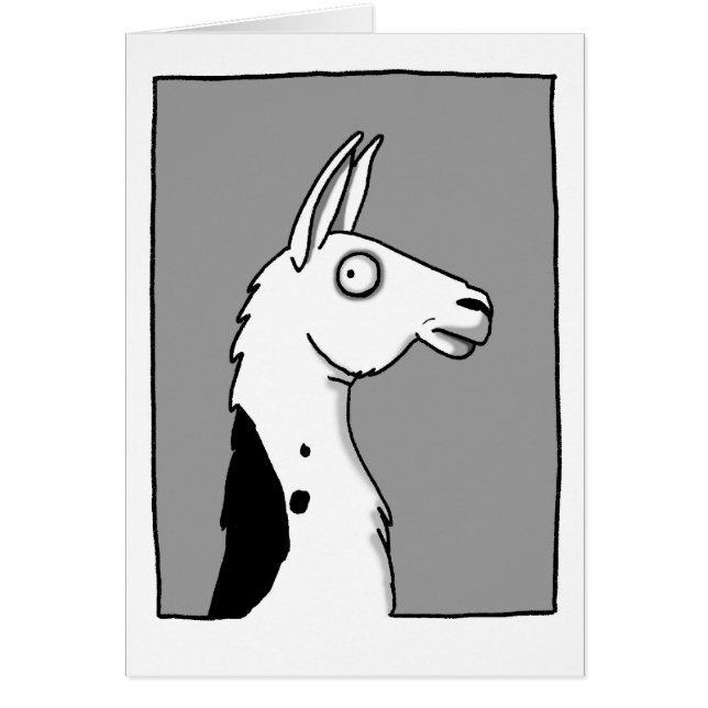 LlamaLlama (Front)