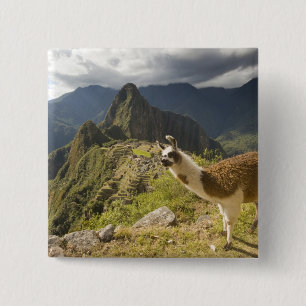 LLamas and an over look of Machu Picchu, 15 Cm Square Badge