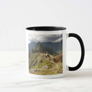 LLamas and an over look of Machu Picchu, Mug