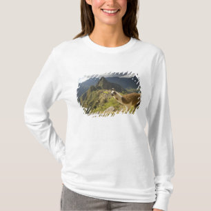 LLamas and an over look of Machu Picchu, T-Shirt