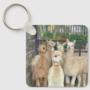 Llamas are from Peru on this keychain