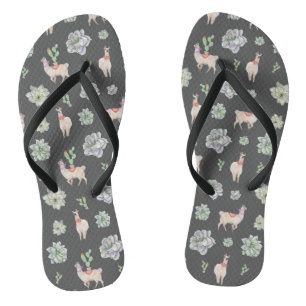 Llamas in the desert with cacti and amaryllis jandals