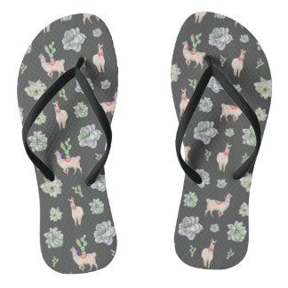 Llamas in the desert with cacti and amaryllis jandals