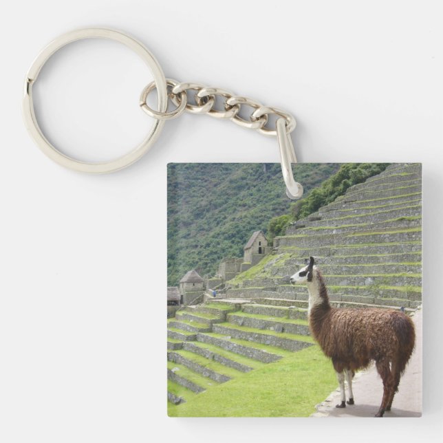 llamas key ring (Front)
