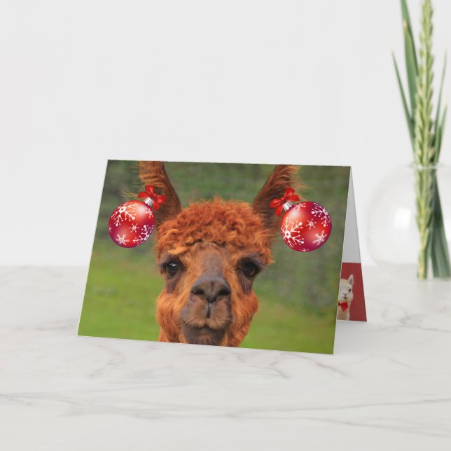 Llamas Love Christmas Holiday Card (Front)