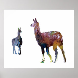 Llamas Poster