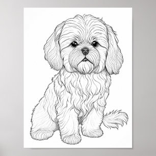 Llasa Apso Dog Adult Colouring Poster