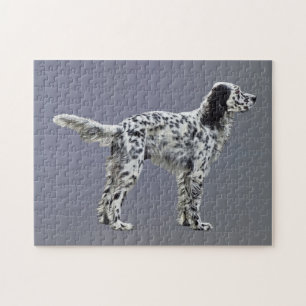 LLewellin Setter Jigsaw Puzzle