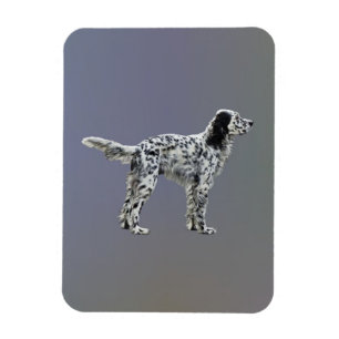 LLewellin Setter Magnet