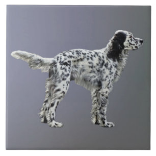 LLewellin Setter Tile