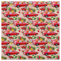 LM Corvair Car—coral
