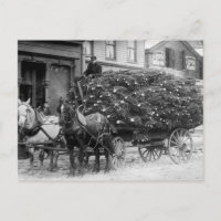 Load of Xmas Trees, 1910
