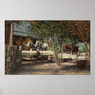 Loading Fruit at Longview Ranch Poster