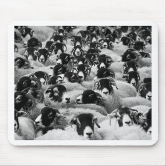 LOADS of Rams Sheep Black and White Mouse Pad