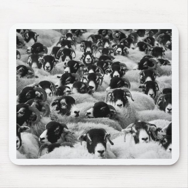 LOADS of Rams Sheep Black and White Mouse Pad (Front)