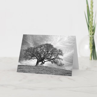 LOAN OAK IN WINTER CARD