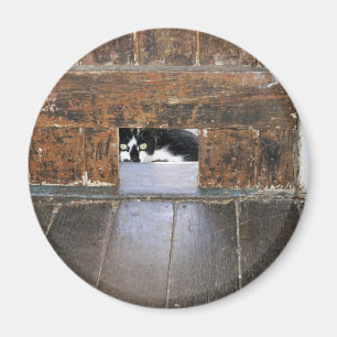 Lobo - 2¼ Inch Round Magnet