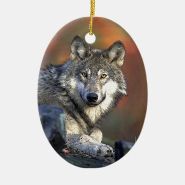 Lobo Gris Ceramic Tree Decoration (Front)