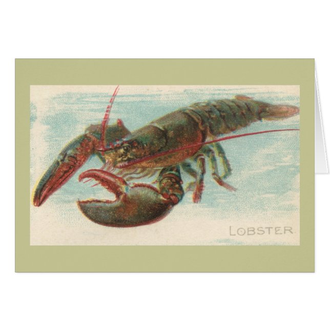 Lobster (Front Horizontal)