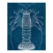 Lobster Blueprint