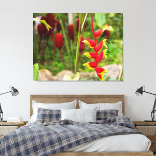 Lobster Claw Heliconia Flowers in Costa Rica Canvas Print