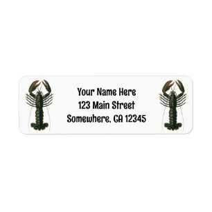 Lobster Claws Vintage Marine Ocean Life Crustacean