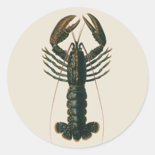 Lobster Claws Vintage Marine Ocean Life Crustacean Classic Round Sticker