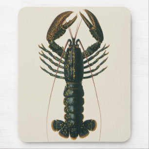 Lobster Claws Vintage Marine Ocean Life Crustacean Mouse Pad