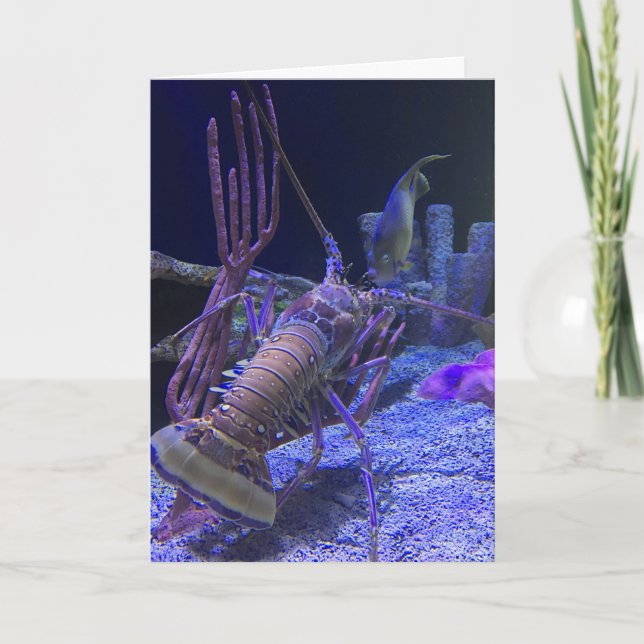 lobster greeting card (funny inside) (Front)