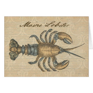Lobster Illustration Antique Maine Seafood