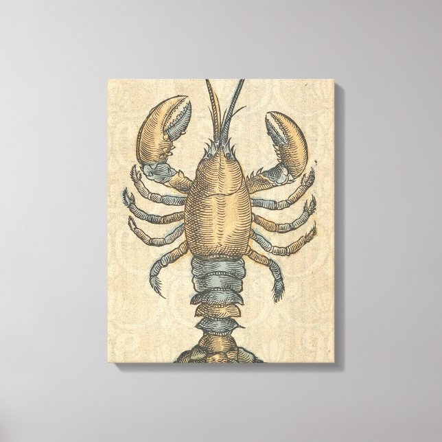 Lobster Illustration Antique Maine Seafood Canvas Print (Front)