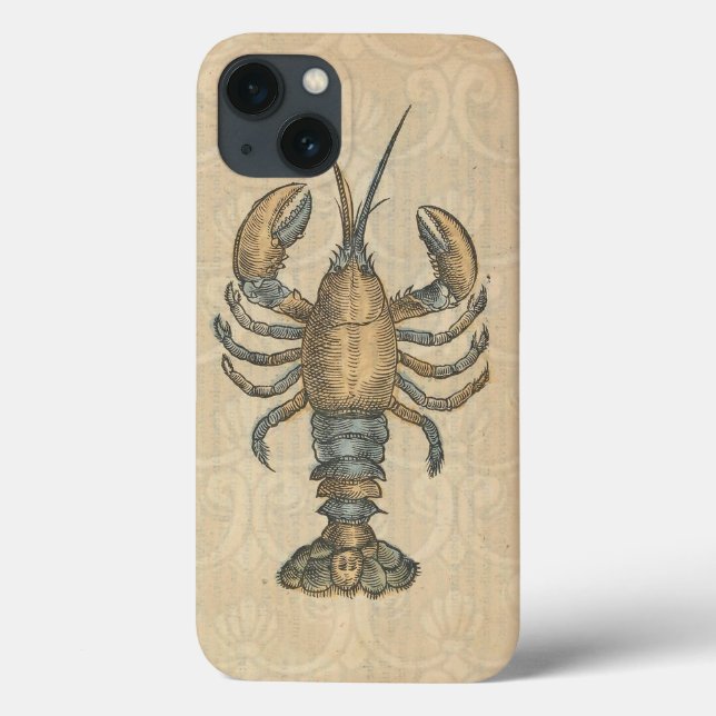 Lobster Illustration Antique Maine Seafood Case-Mate iPhone Case (Back)