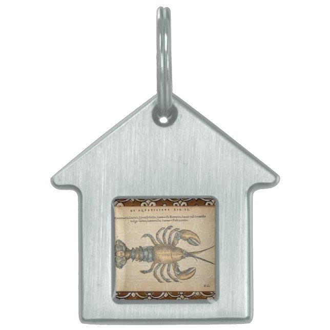 Lobster Illustration Antique Maine Seafood Pet ID Tag (Front)